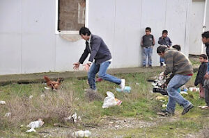 Insert nga dokumentari Film Never Back Home