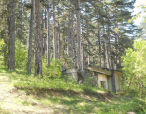 Ne kuader te hotelit ishin 25 vila