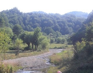 Pyjet e Kosoves ne Podujeve (1)