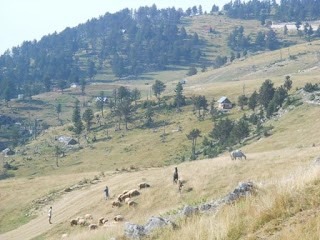 1 Bjeshka e Strellcit