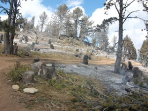 Minsitri Gashi zjarrvenje te qellimshme per fshehjen e krimit