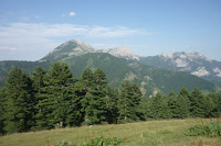 Pyjet e bjeshkes se Prejlepit