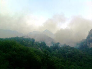 Rete e tymit mbulojne tebanishtat Bjeshka e Strellcit