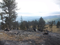 Zjarret djegin qindra hektare