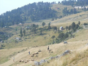 Zjarri eshte afruar deri te kalaja e Strellcit