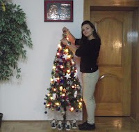 Bredhi i Krishtlindjeve gati