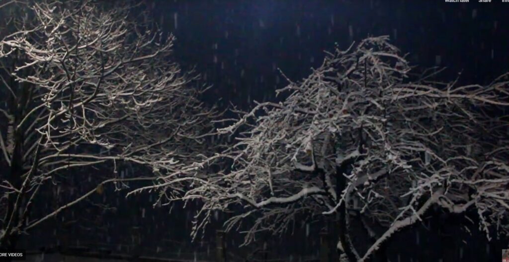 Bora e janarit 2019,