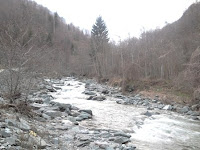 Hurdha e peshqve decan