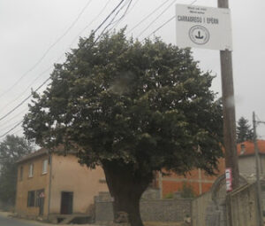 Nje Shtepi Fshati ka edhe Carrabregu