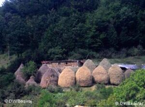 Rimekembje e bujqesise