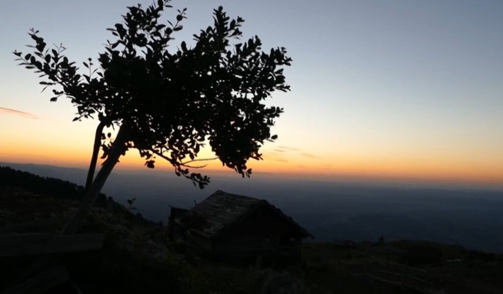 Agimet e artae bjeshkes