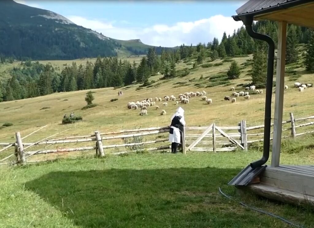 Bjeshka e Milishevcit FB,