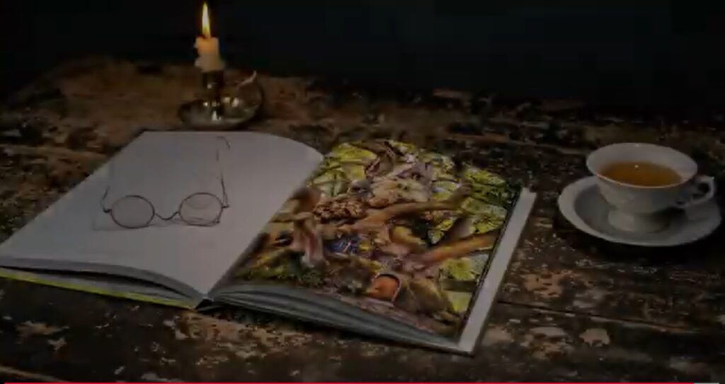 Qith elven eyes Lars van de goor