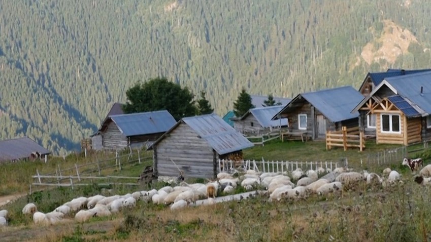 Tebanishta e Bjeshkes se Prejlepit