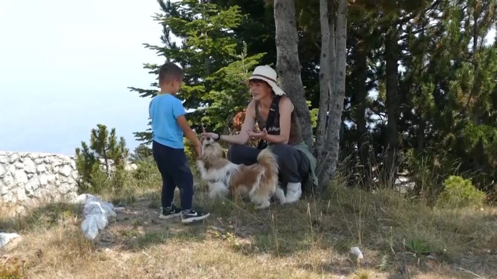 Bjeshka e strellcit,,