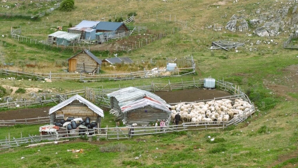 Sequence 12.00 00 17 07.Still036