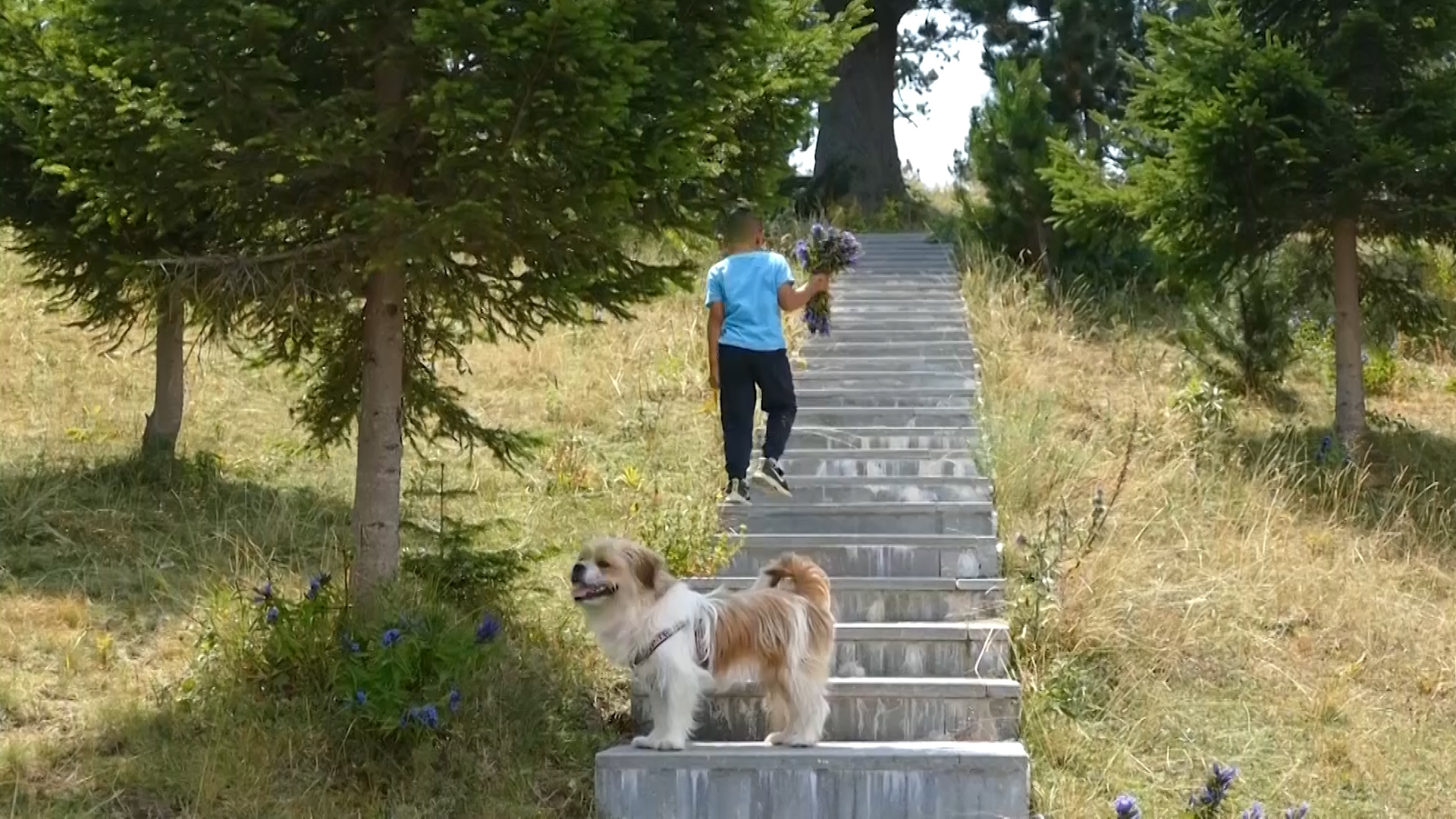 Sequence 14.04 22 19 14.Still015