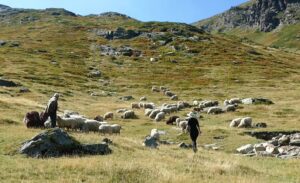 Bjeshka e Gjeravices Dora e pare 2 384 2 300x183