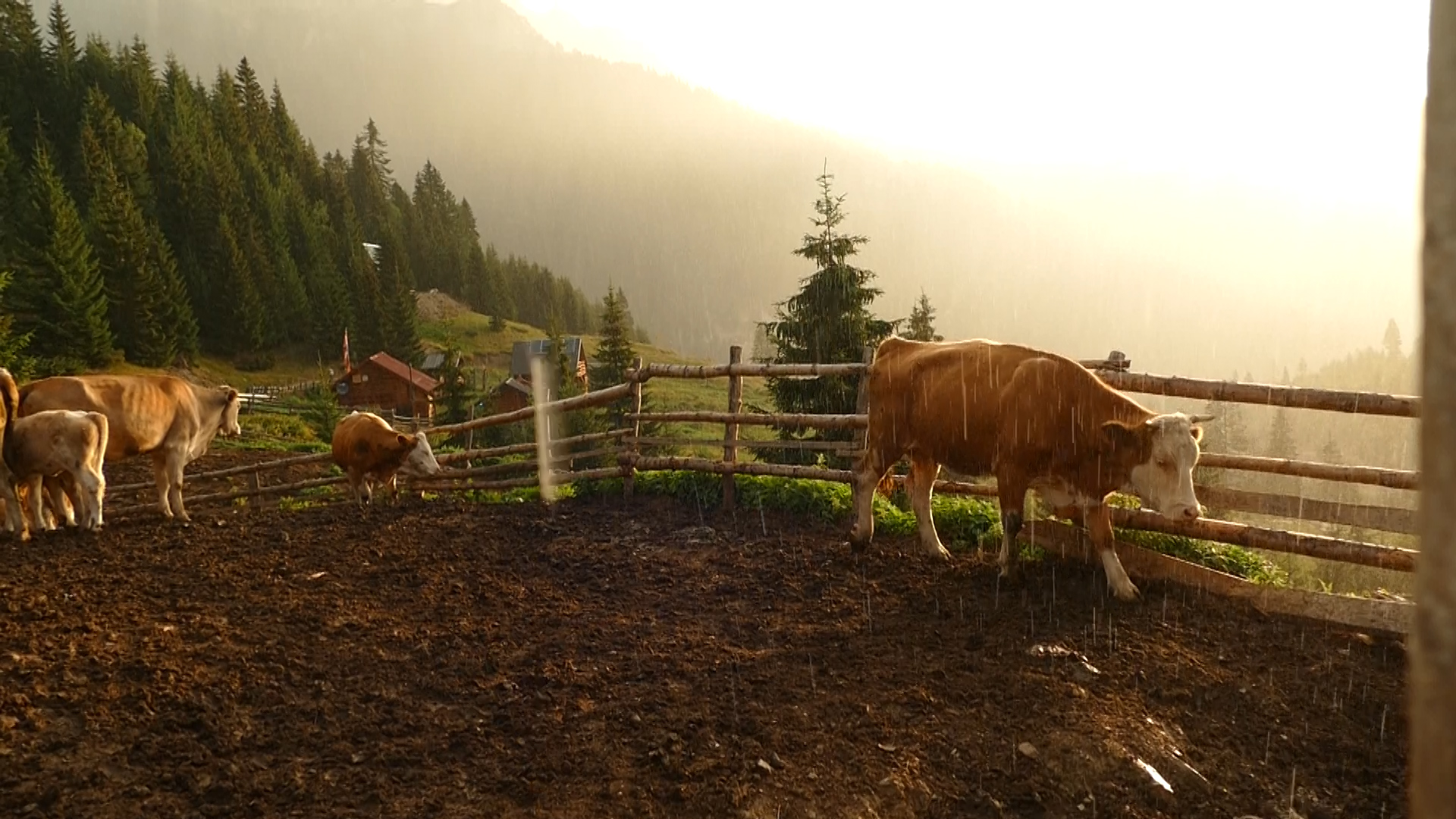 Bjeshket sekuenca.00 38 10 23.Still010