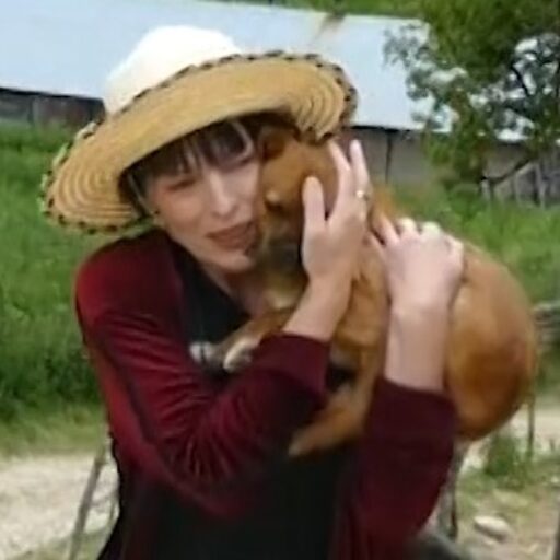 Cropped jeta shtupeqiiiicon.jpg