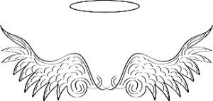 Angel wings 300x143