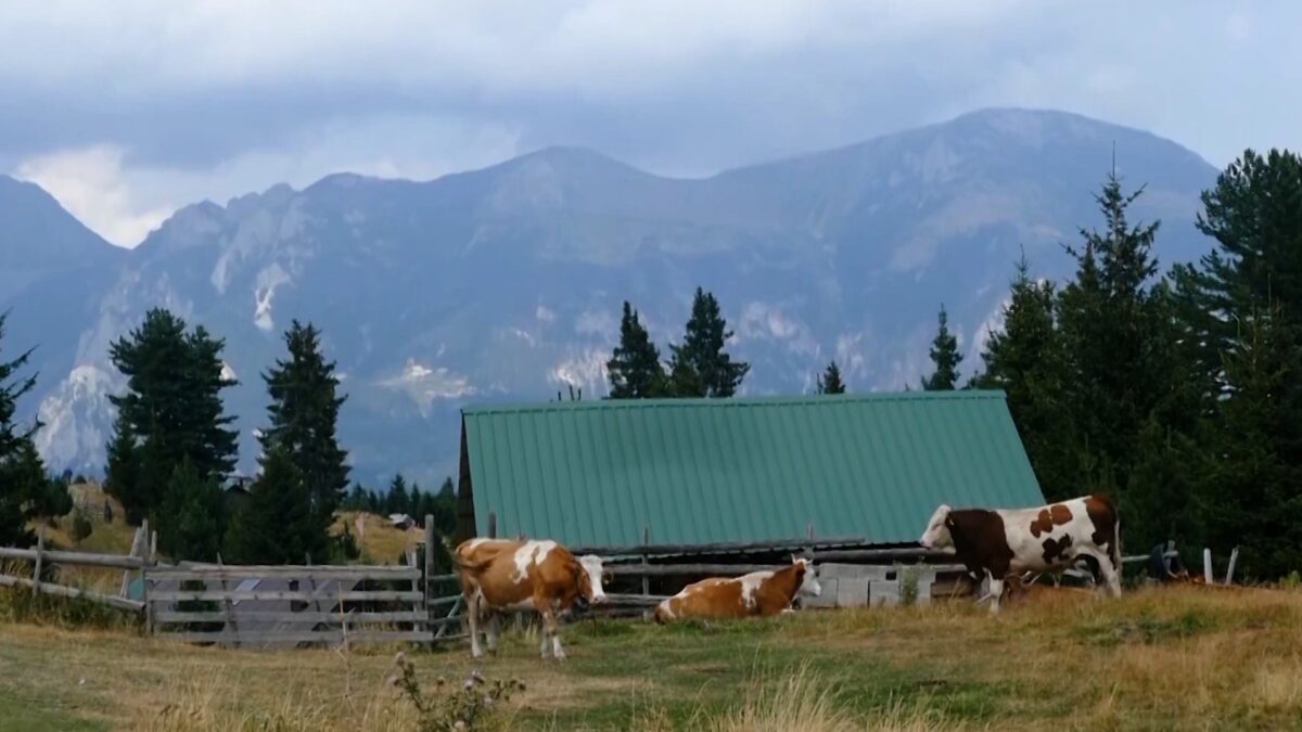 Sequence 23.00 40 34 20.Still017